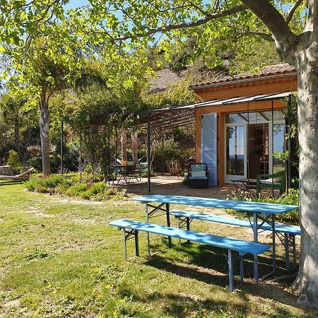House With Garden And Sea View Villa La Londe-les-Maures Exterior foto