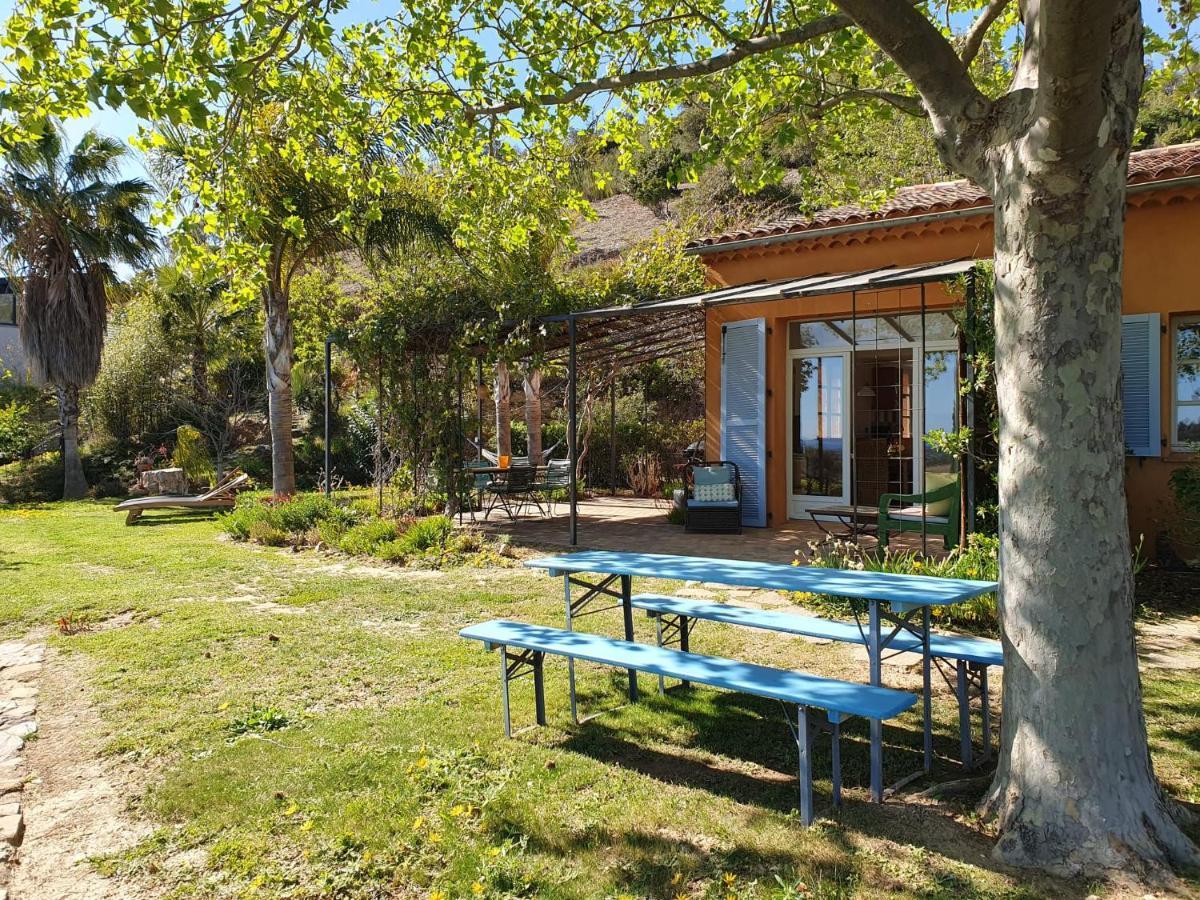 House With Garden And Sea View Villa La Londe-les-Maures Exterior foto