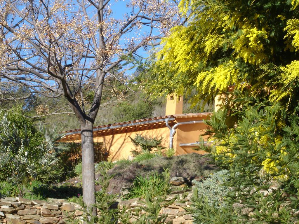 House With Garden And Sea View Villa La Londe-les-Maures Cameră foto