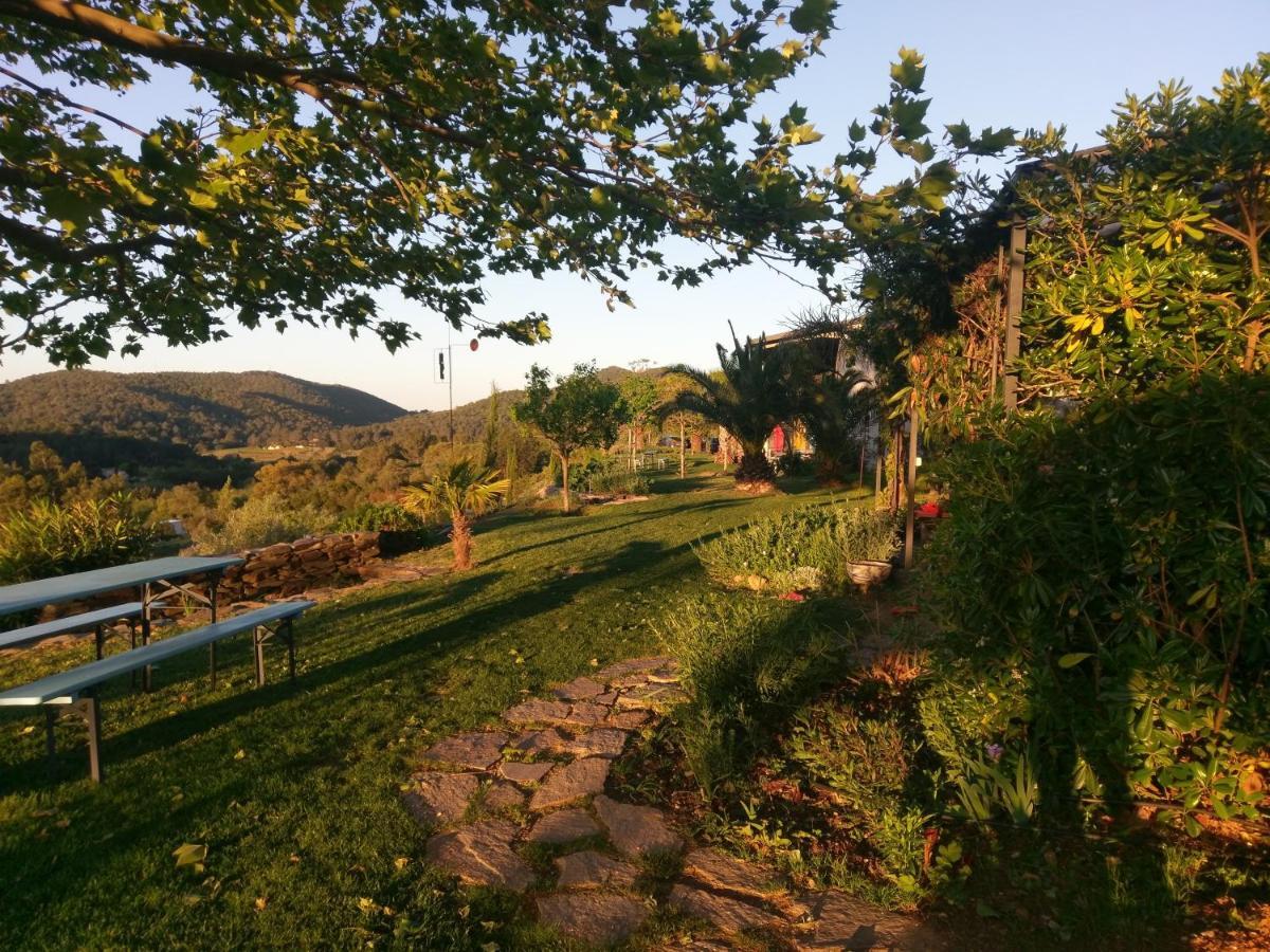 House With Garden And Sea View Villa La Londe-les-Maures Exterior foto